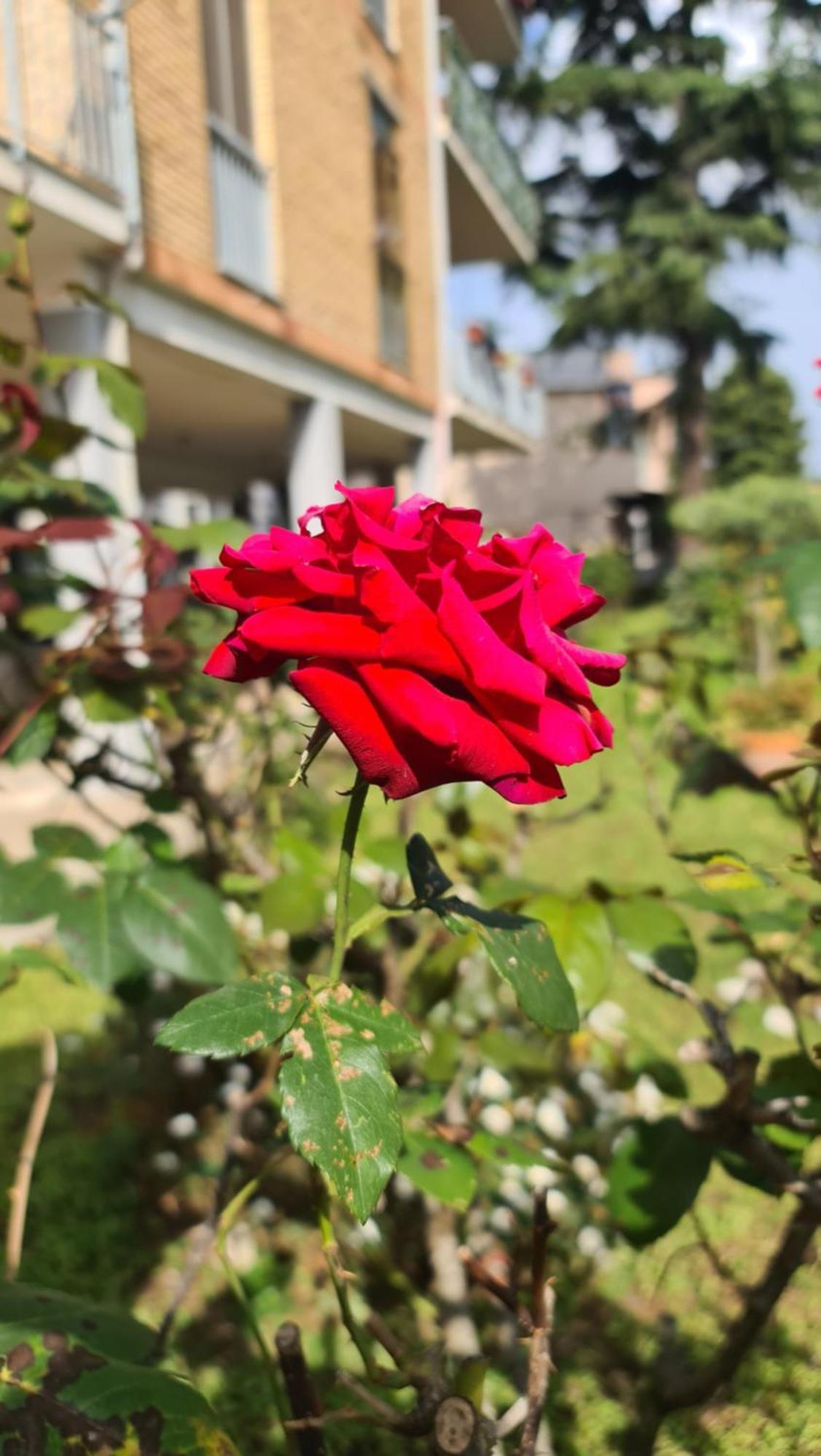 דירות סקפאטי Casa Myrina מראה חיצוני תמונה